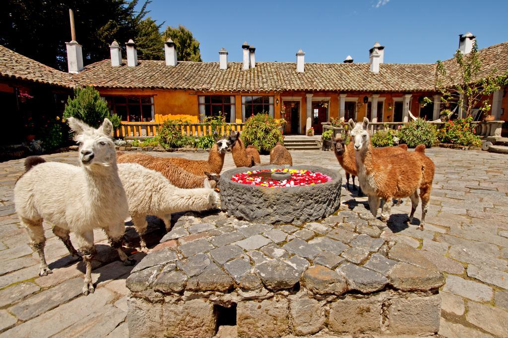 Hacienda San Agustin De Callo Lasso Εξωτερικό φωτογραφία