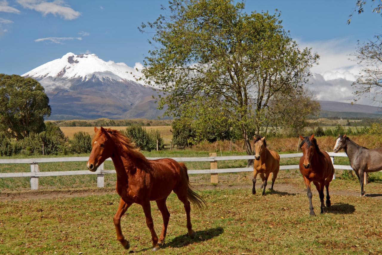 Hacienda San Agustin De Callo Lasso Εξωτερικό φωτογραφία